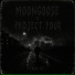 m00nGooSe, Project.Four