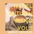 Mirko Heldens