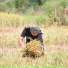 Antha Pryma Ginting