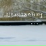 高小乐