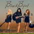 BlackByrd feat. Craig Hinds