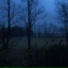 sunfade, anallevi