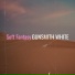 Gunsmith White