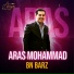 Aras Mohammad