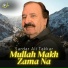 Sardar Ali Takkar