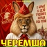 Троля Мусифор