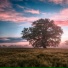 Callum McLochlan