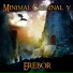 MINIMAL CRIMINAL V