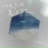 程佳佳