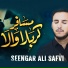 Seengar Ali Safvi