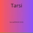 Tarsi