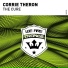 Corrie Theron