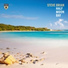 Steve Brian