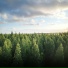 Alleviation