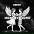 ERMIN