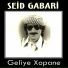 Seid Gabari