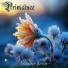 Primaluce