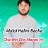 Abdul Halim Bacha