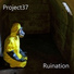 Project37