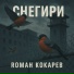 Роман Кокарев