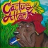 Cactus Attack