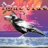 longtide