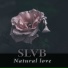 SLVB