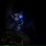 Randomizer