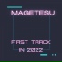 Magetesu