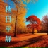 純正音源