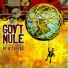 Gov't Mule