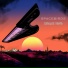Spacebirds