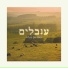 Omer Gonen-Haela