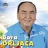 Bora Drljača