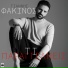 Giannis Fakinos