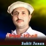 Sabit janan