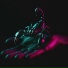 SΛTNV