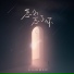 庄淇文29, Li 2c