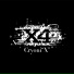 X4
