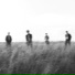Pentire