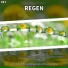 Olaf Niggl, Regengeräusche, Schlafmusik