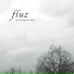 Fluz
