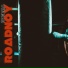 RoadNoy