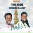 Yoro Ndiaye feat. Mouhamed Alla Diop