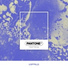 Pantone