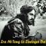 Mohsen Lewani