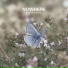 Noria Beats