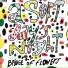 Bridge of Flowers