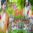 Anei Amit