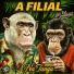 DjBandeiraBeats, A FILIAL